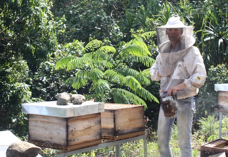 Linnea l'apicultrice